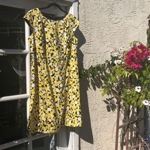 Flattering colorful all season office, work Aline dress size 10.